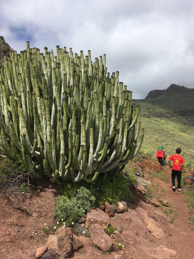 Casa Manel, La Gomera San Sebastián de la Gomera Екстериор снимка